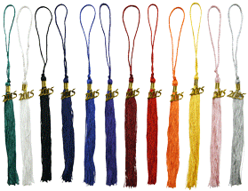 Twelve Colored Grad Tassels